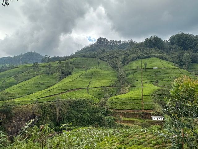 Sri Lanka