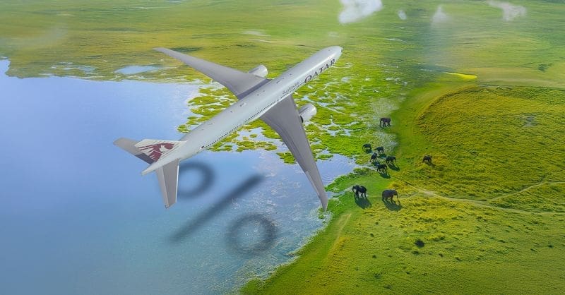 Pierwsza oferta roku od Qatar Airways już jest!