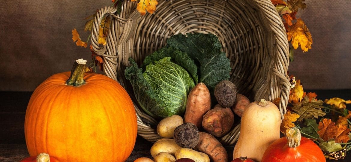 Vouchery Turystyczne od FCM Travel Express